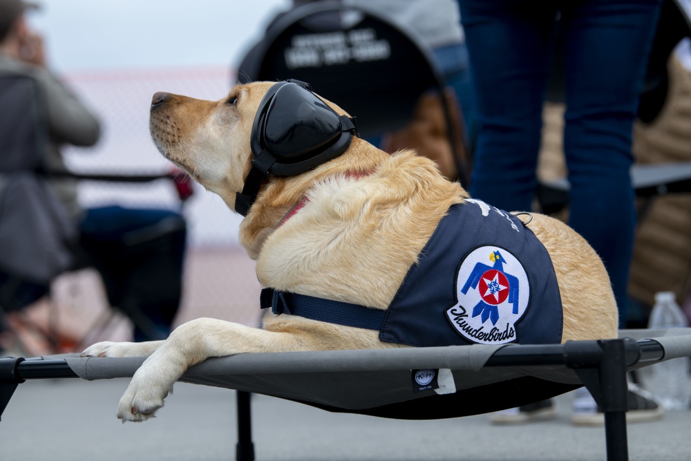 Fairchild Skyfest 2022