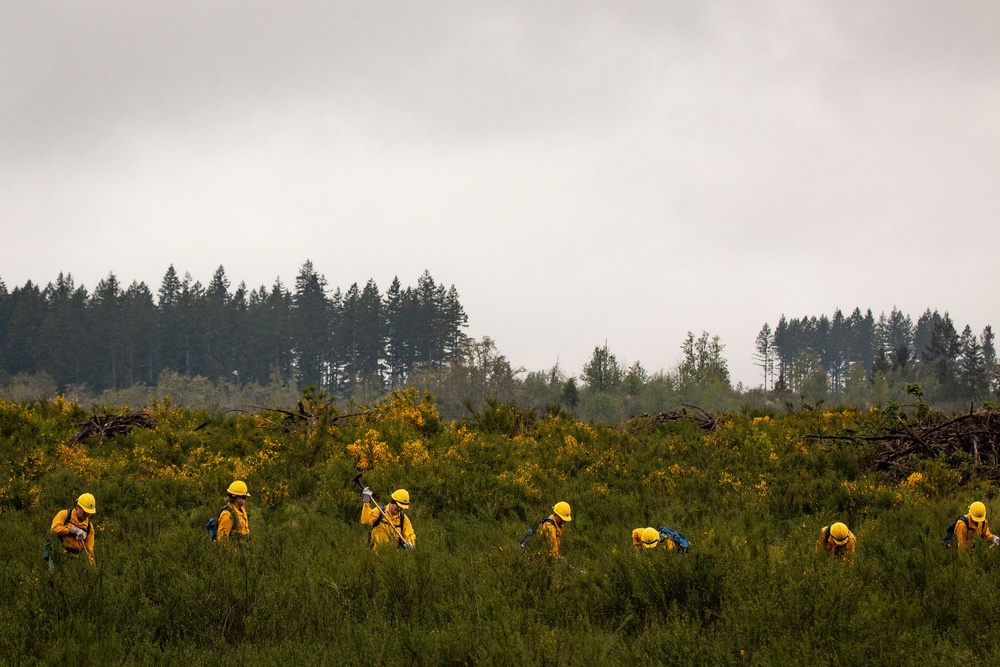 We didn’t start the fire: Washington National Guard preps for 2022 wildfire season