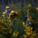 We didn’t start the fire: Washington National Guard preps for 2022 wildfire season