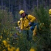 We didn’t start the fire: Washington National Guard preps for 2022 wildfire season