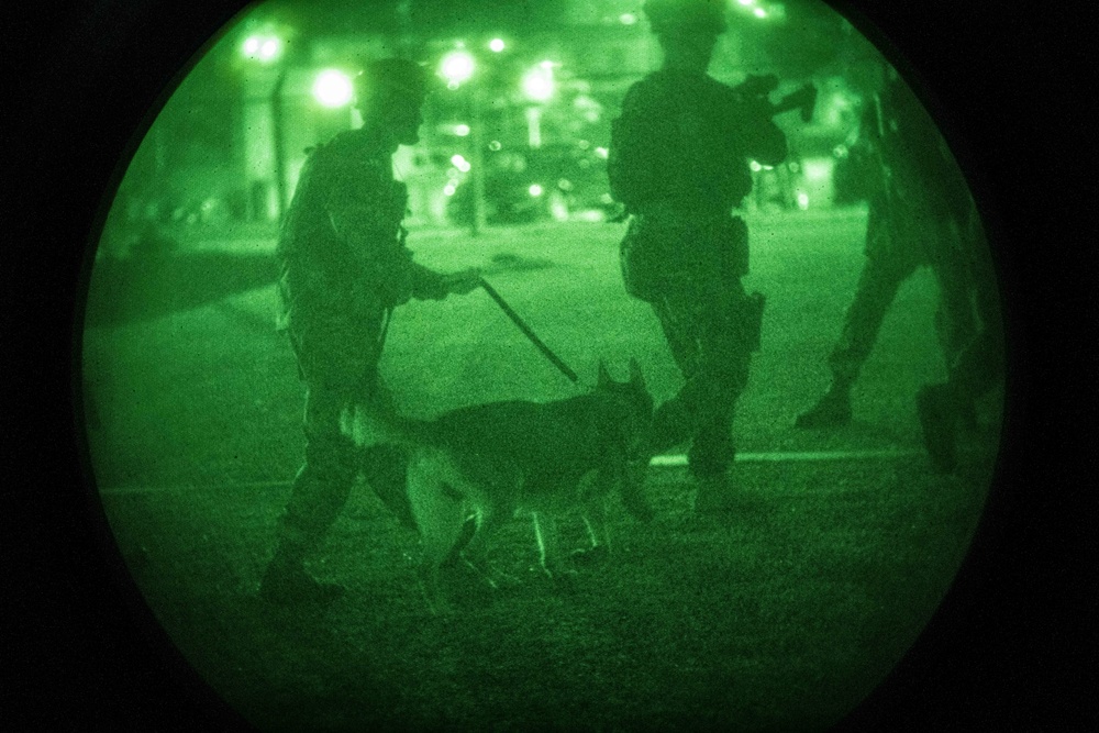 Joint forces train to fight at night