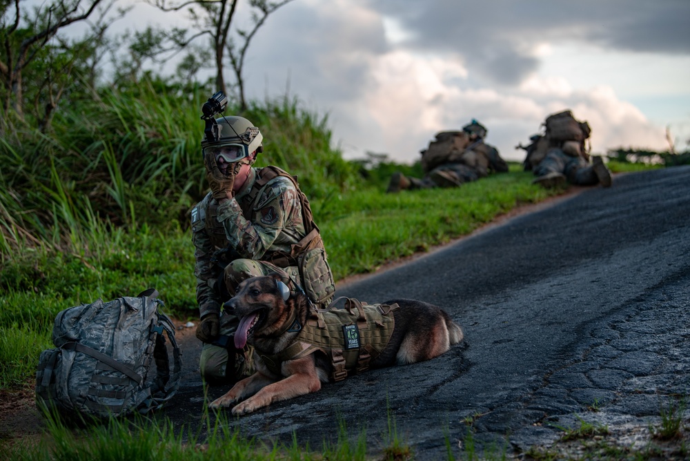 Joint forces train to fight at night