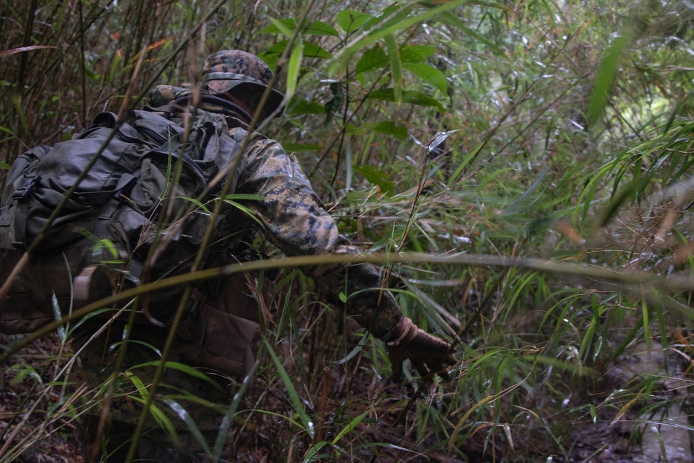 Force Reconnaissance Marines Patrol the Jungle of Okinawa