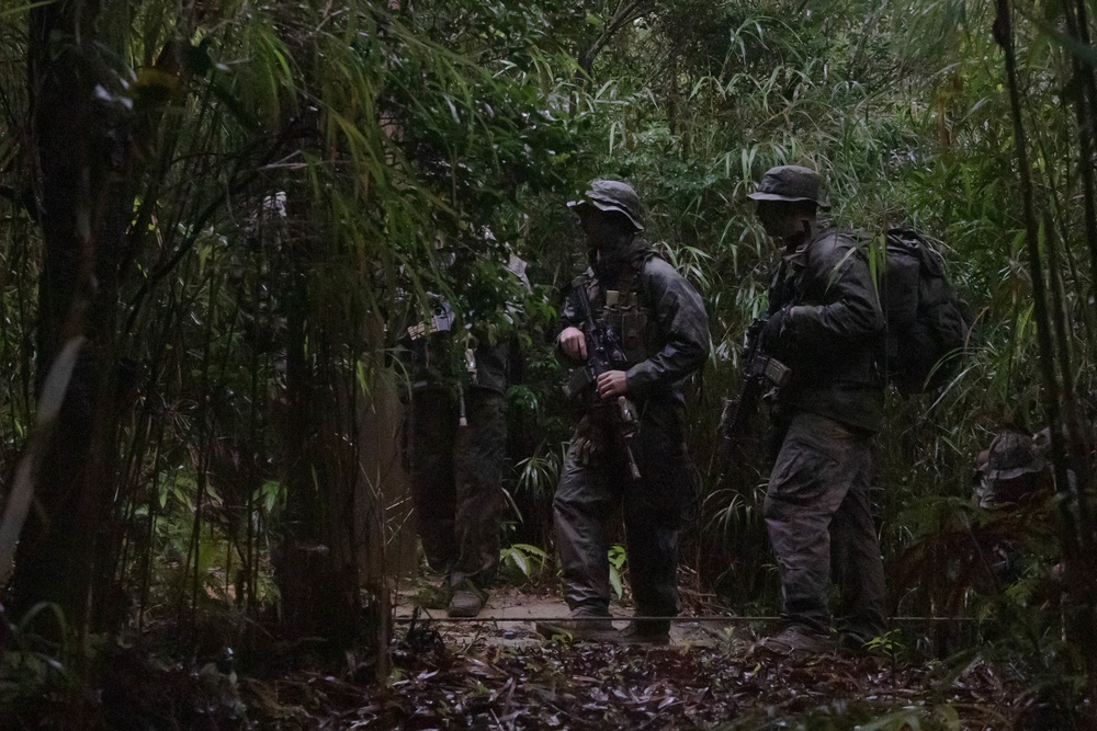 Force Reconnaissance Marines Patrol the Jungle of Okinawa