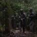 Force Reconnaissance Marines Patrol the Jungle of Okinawa