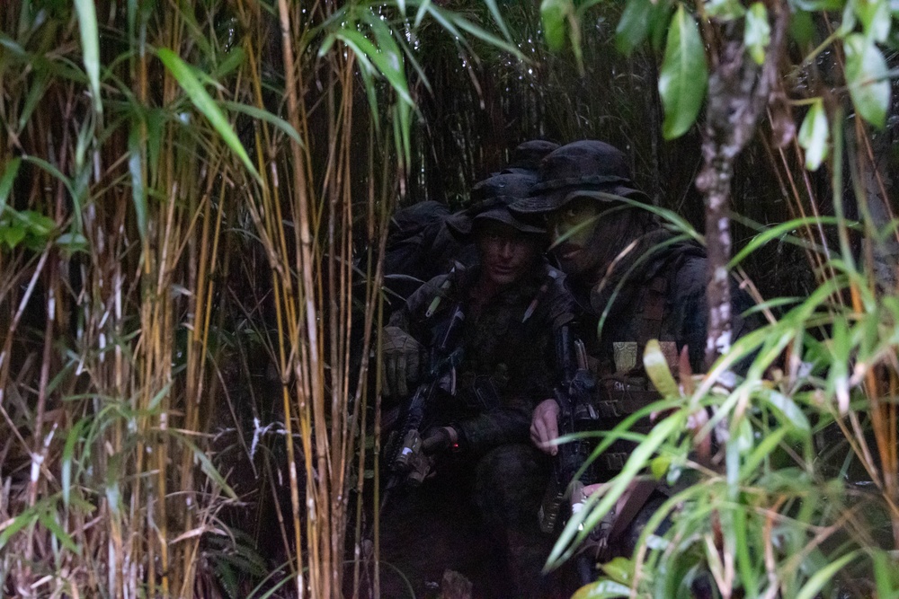 Force Reconnaissance Marines Patrol the Jungle of Okinawa