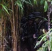 Force Reconnaissance Marines Patrol the Jungle of Okinawa