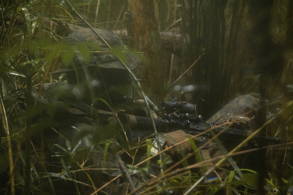 Force Reconnaissance Marines Patrol the Jungle of Okinawa