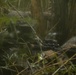 Force Reconnaissance Marines Patrol the Jungle of Okinawa