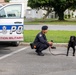 Historical Military Working Dog certification