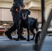 Historical Military Working Dog certification