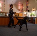 Historical Military Working Dog certification