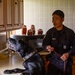Historical Military Working Dog certification