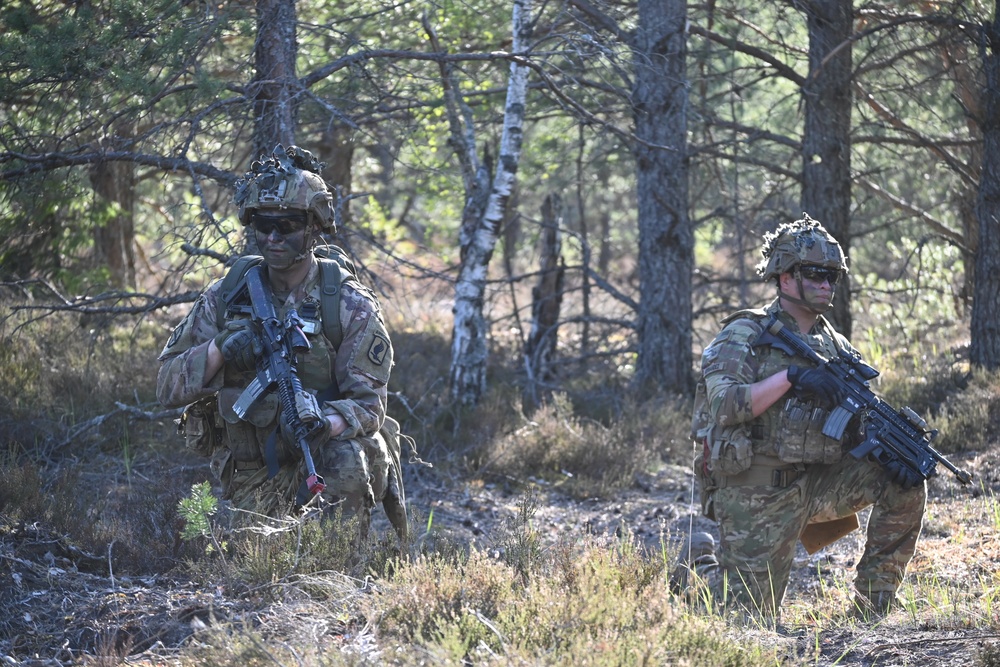 Sky Soldiers Conduct Platoon Live Fire Training