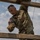 Army National Guard Soldiers compete for regional Best Warrior Army National Guard Soldiers compete for regional Best Warrior