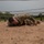 Army National Guard Soldiers compete for regional Best Warrior Army National Guard Soldiers compete for regional Best Warrior