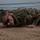 Army National Guard Soldiers compete for regional Best Warrior Army National Guard Soldiers compete for regional Best Warrior