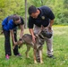 A day in the life of a military working dog