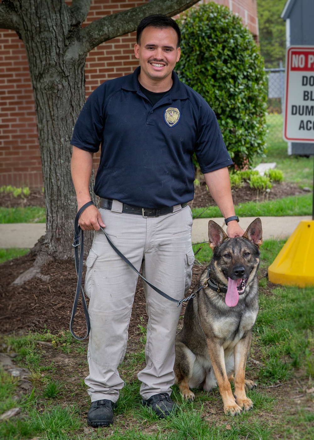 A day in the life of a military working dog