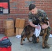 A day in the life of a military working dog