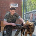 A day in the life of a military working dog