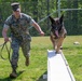 A day in the life of a military working dog