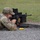 Army National Guard Soldiers compete for regional Best Warrior Army National Guard Soldiers compete for regional Best Warrior