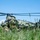 U.S. and Italian Army units make history during Exercise Swift Response