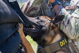 Police Week: 97 SFS MWD’s stay deployment-ready