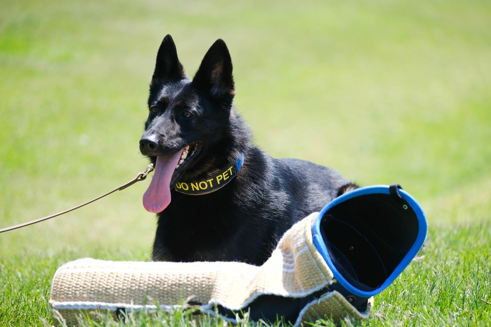 Police Week 2022
