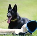 Police Week 2022