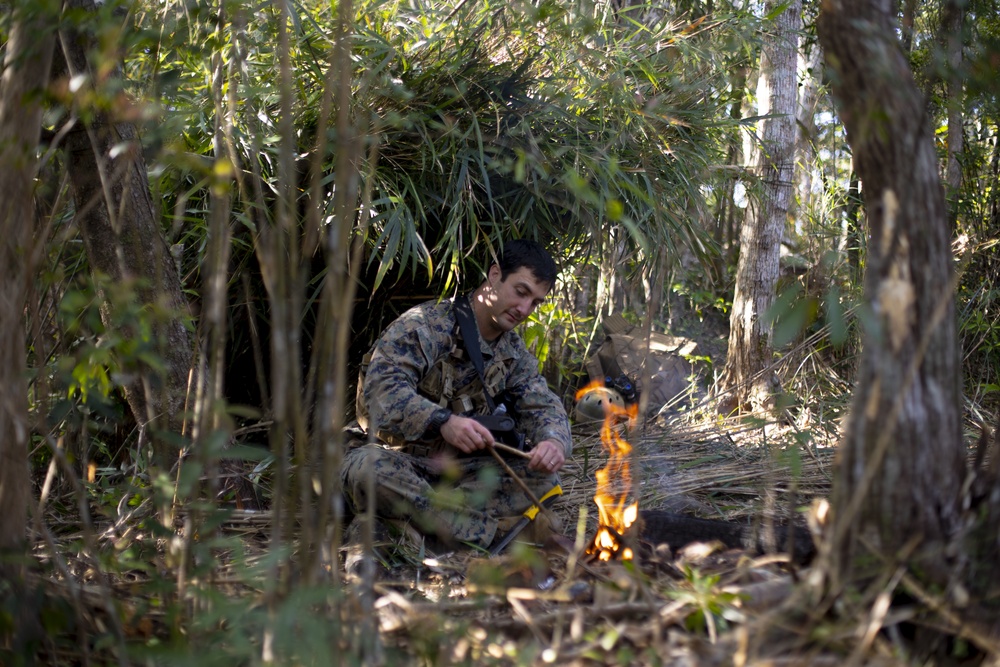 Jungle Survival Course