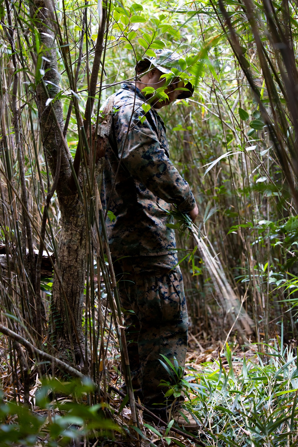 Jungle Survival Course