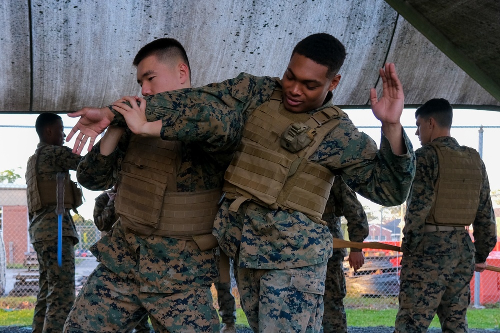 II Marine Expeditionary Force participates in Marine Corps Martial Arts Program
