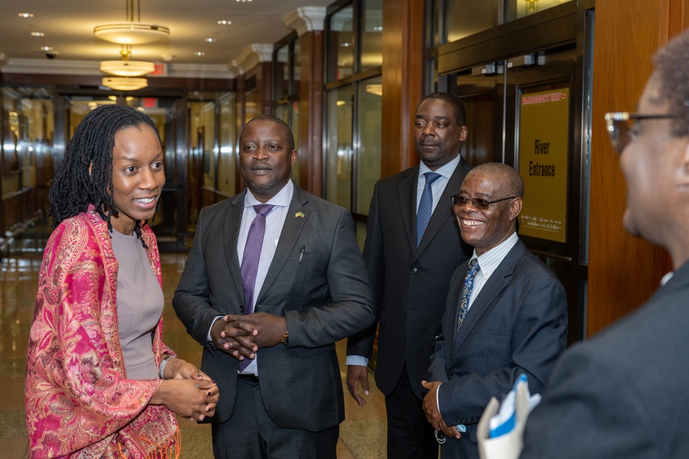 Deputy Assistant Secretary of Defense for African Affairs Chidi Blyden meets with Zambian Foreign Minister Stanley Kasongo Kakubo