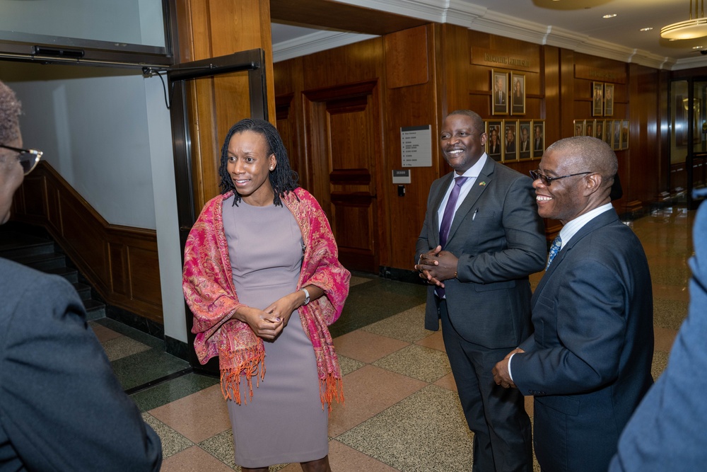 Deputy Assistant Secretary of Defense for African Affairs Chidi Blyden meets with Zambian Foreign Minister Stanley Kasongo Kakubo