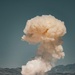 Joint service EOD techs join forces to destroy 12,000-pound missile cache