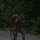 Army National Guard Soldiers compete for regional Best Warrior