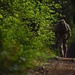 JBLM honors National Police Week