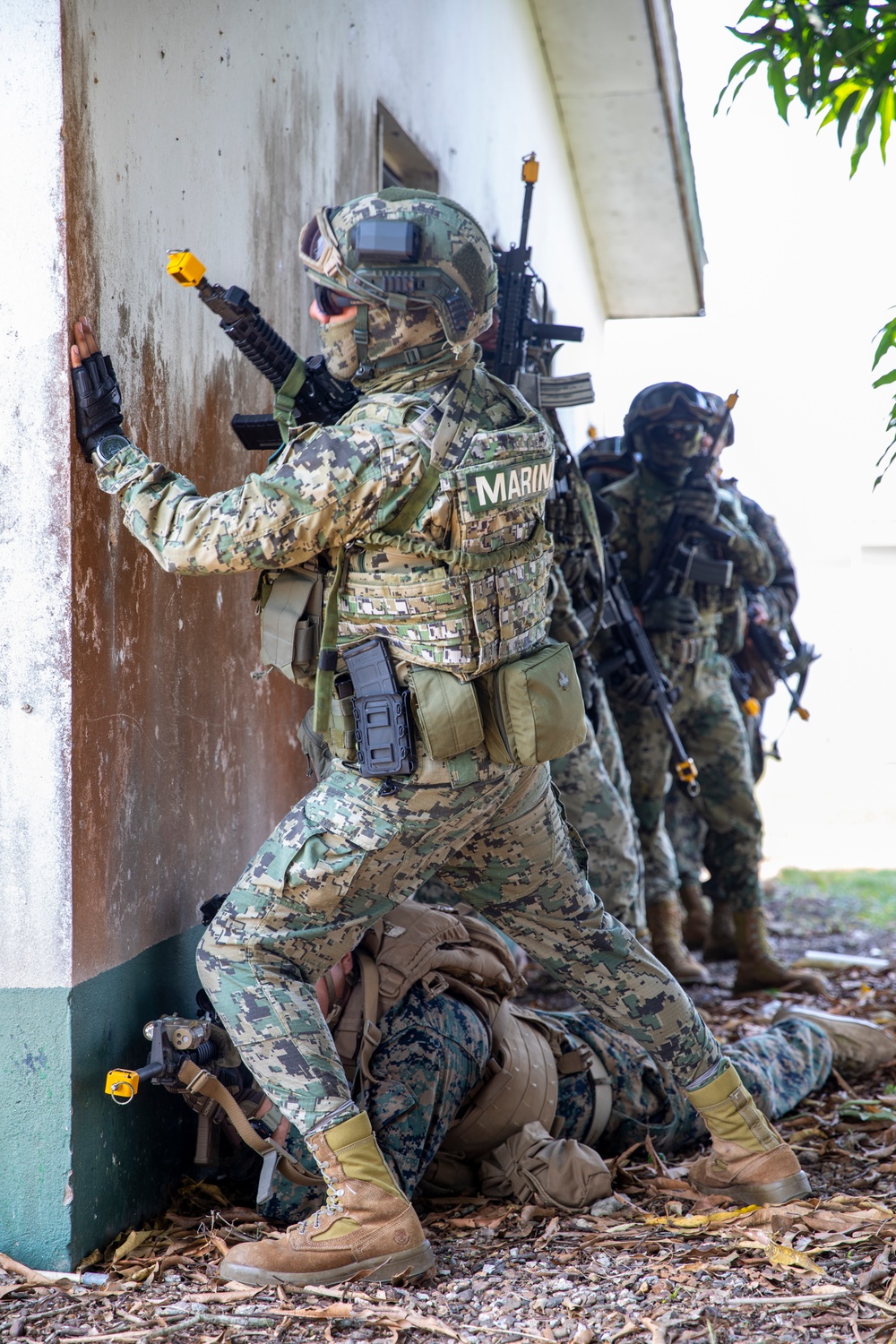 DVIDS - Images - Forces from the U.S. and Mexico Conduct Joint ...