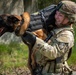 Police week: mind and muscle