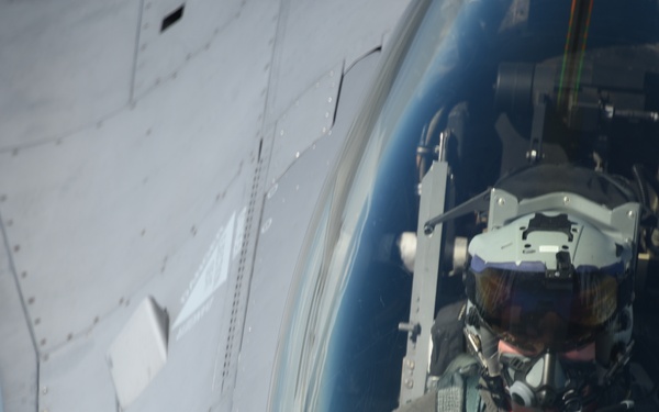 Fueling Vipers