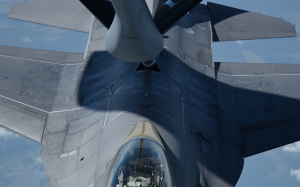 Fueling Vipers