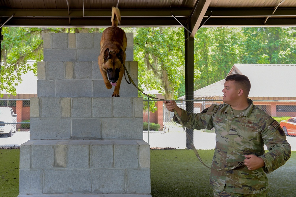 23 SFS welcomes new K-9
