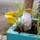 31st MEU volunteers for town beautification with locals