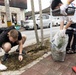 31st MEU volunteers for town beautification with locals