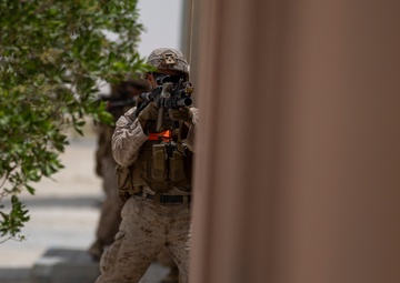 Neon Defender 22 FAST FINEX