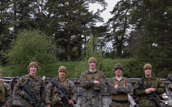 TF-61/2: Exercise Hedgehog, Estonia