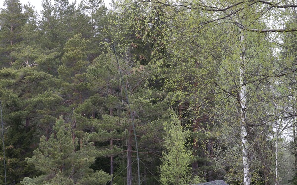 TF-61/2: Exercise Siil, Estonia