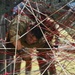 Advanced Combat Skills Assessment 2022